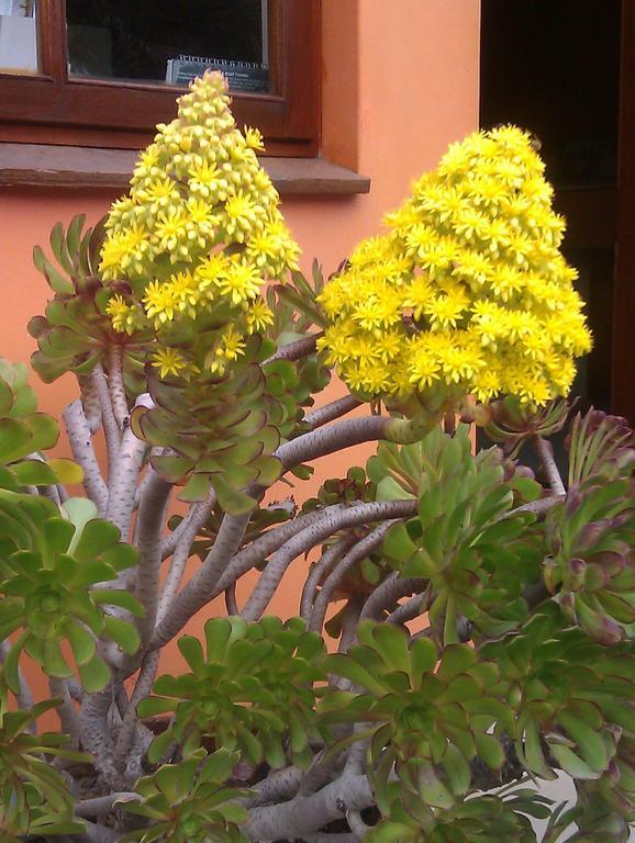 Hotel A La Mer Swakopmund Εξωτερικό φωτογραφία